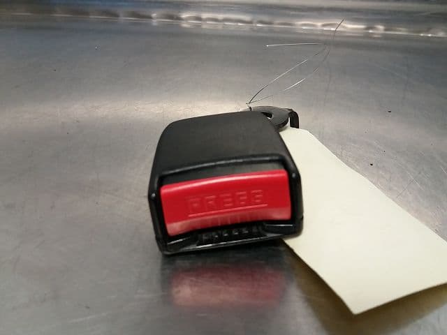 Image sélectionnée