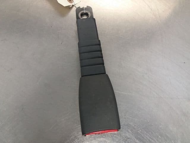 Image sélectionnée