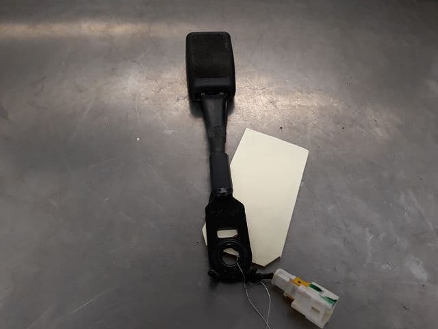 Image sélectionnée