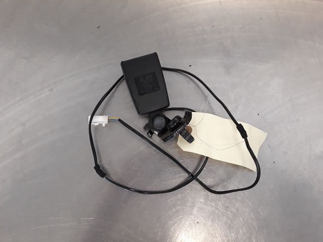 Image sélectionnée