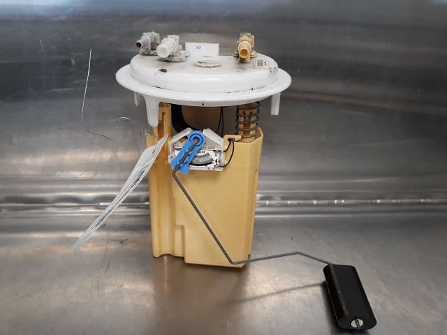 Image sélectionnée