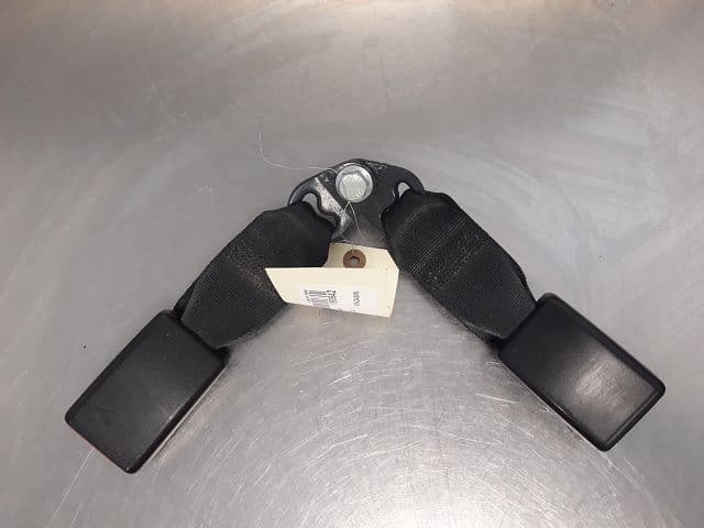 Image sélectionnée