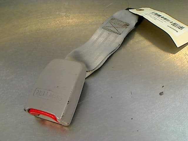 Image sélectionnée