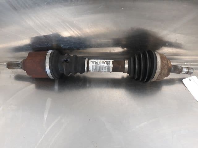Image sélectionnée