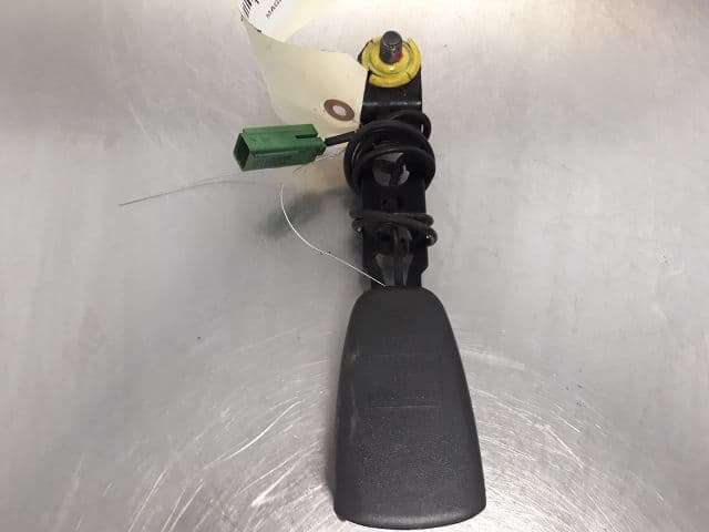 Image sélectionnée