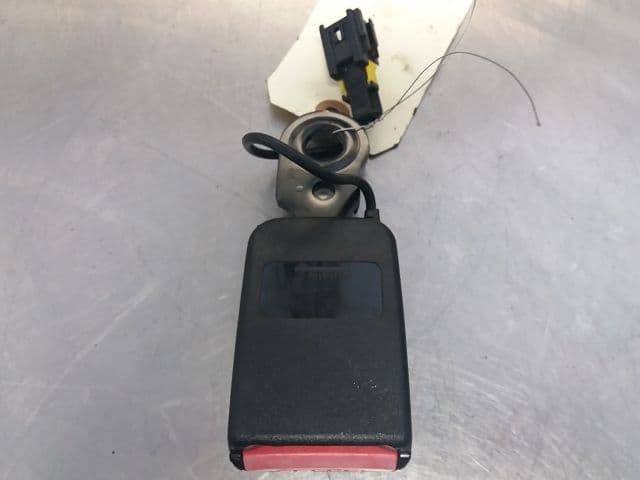 Image sélectionnée