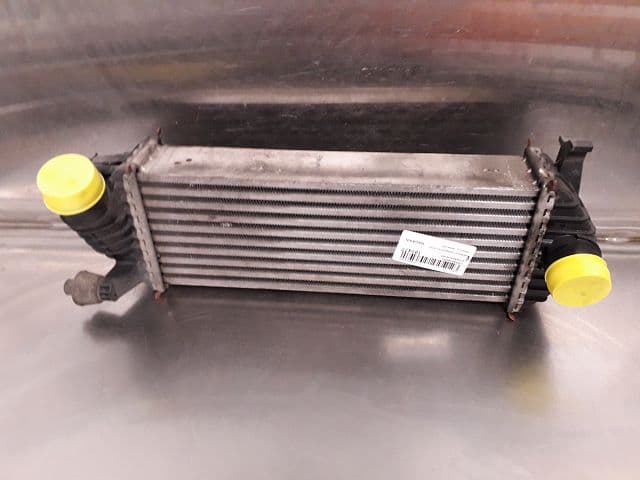 Image sélectionnée