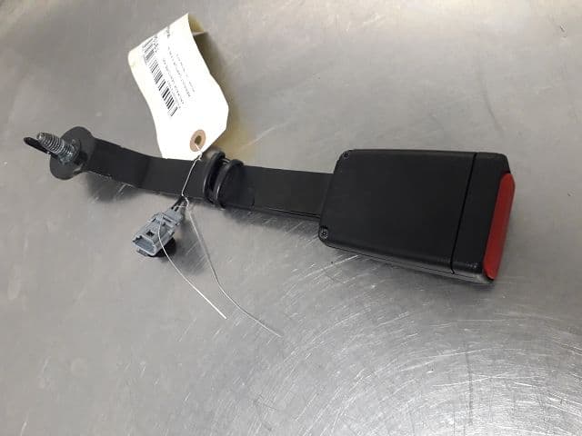 Image sélectionnée