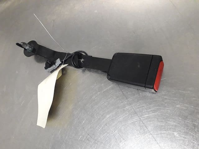 Image sélectionnée