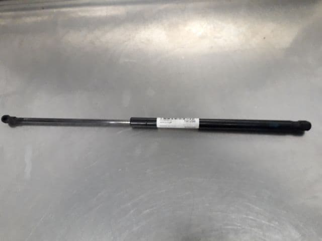 Image sélectionnée