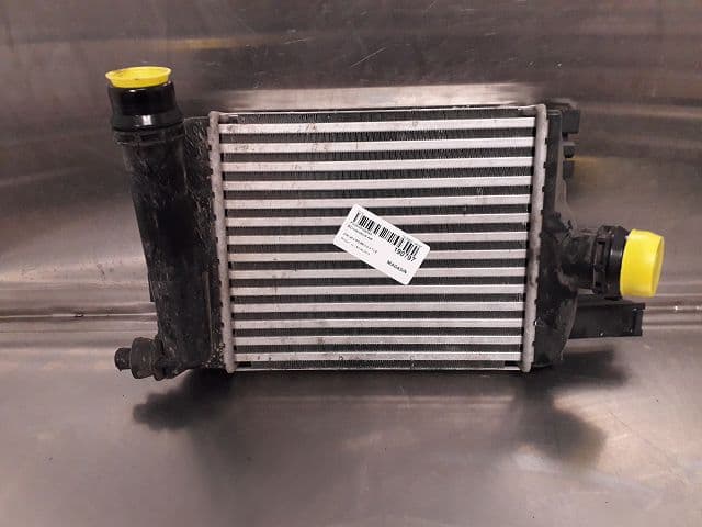 Image sélectionnée