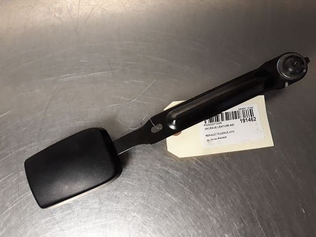 Image sélectionnée