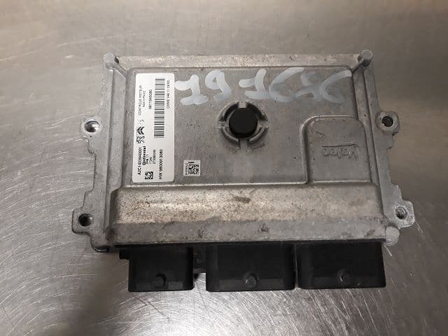 Image sélectionnée