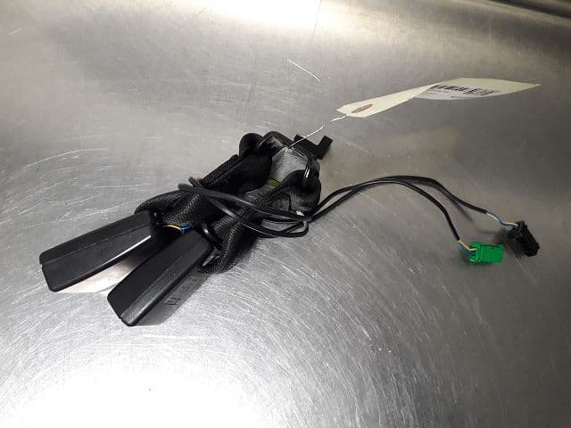 Image sélectionnée