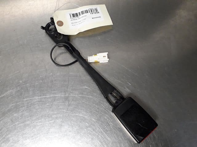 Image sélectionnée