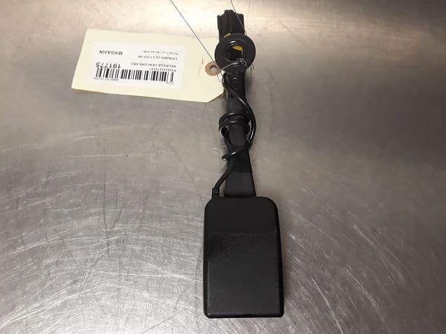 Image sélectionnée