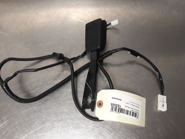 Image sélectionnée