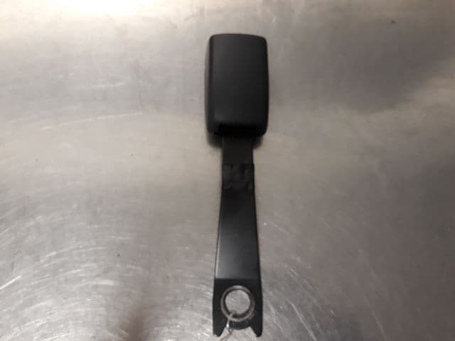 Image sélectionnée