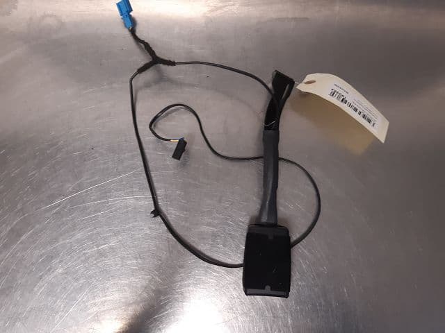 Image sélectionnée