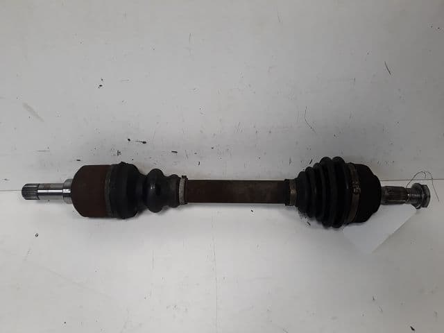 Image sélectionnée