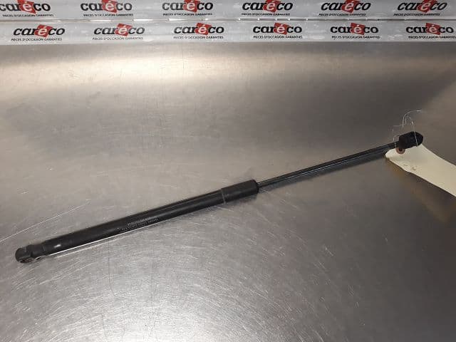 Image sélectionnée