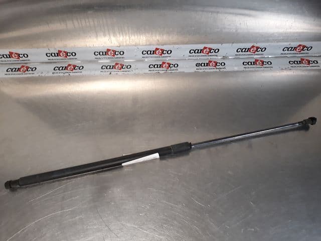 Image sélectionnée