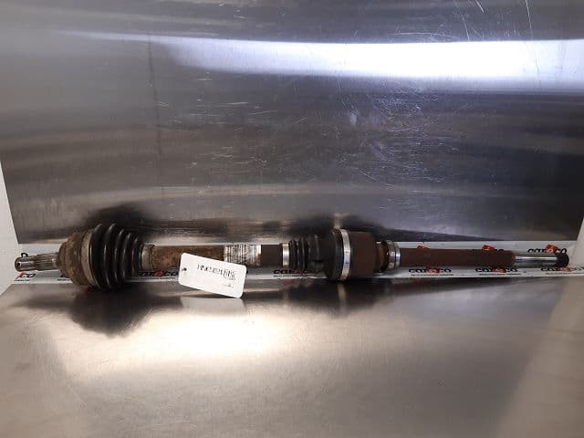Image sélectionnée
