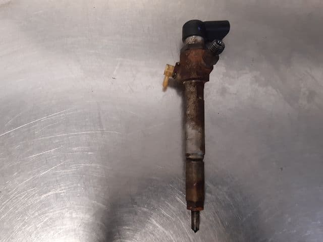 Image sélectionnée