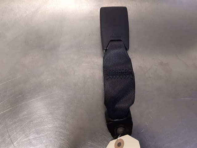 Image sélectionnée