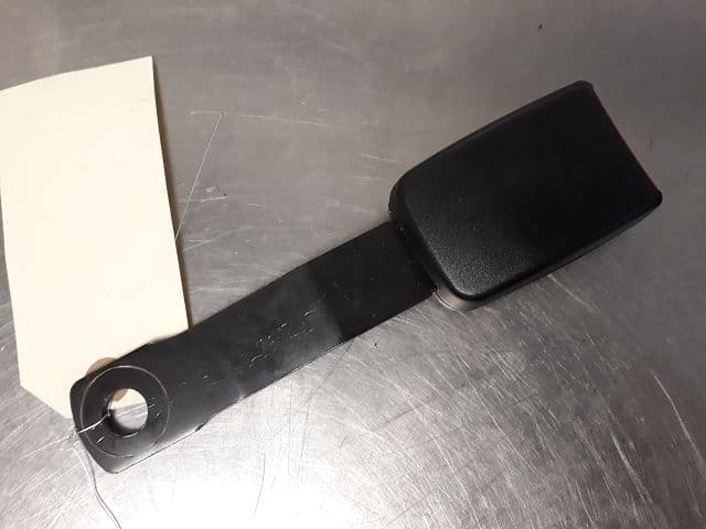 Image sélectionnée