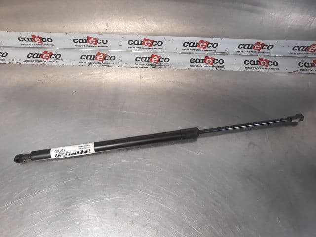 Image sélectionnée