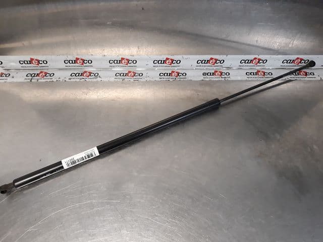 Image sélectionnée