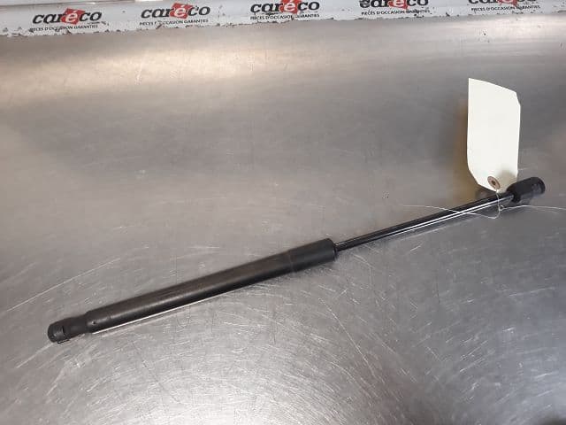 Image sélectionnée