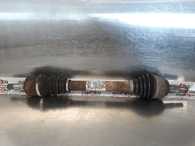 Image sélectionnée