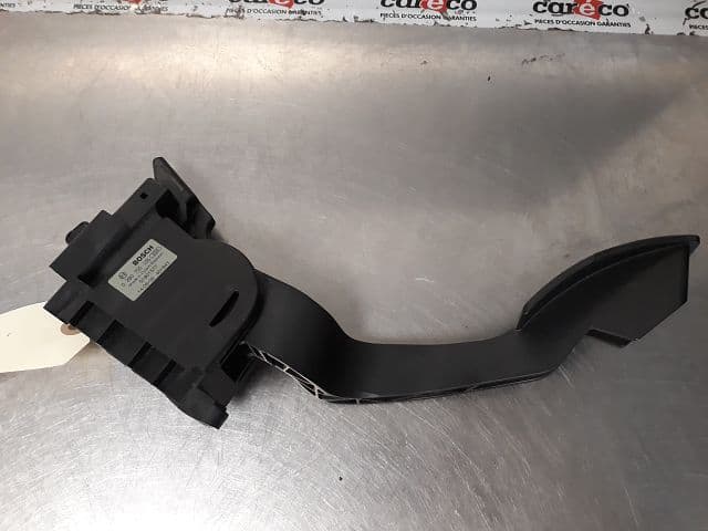 Image sélectionnée