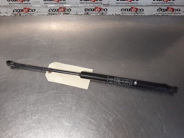 Image sélectionnée