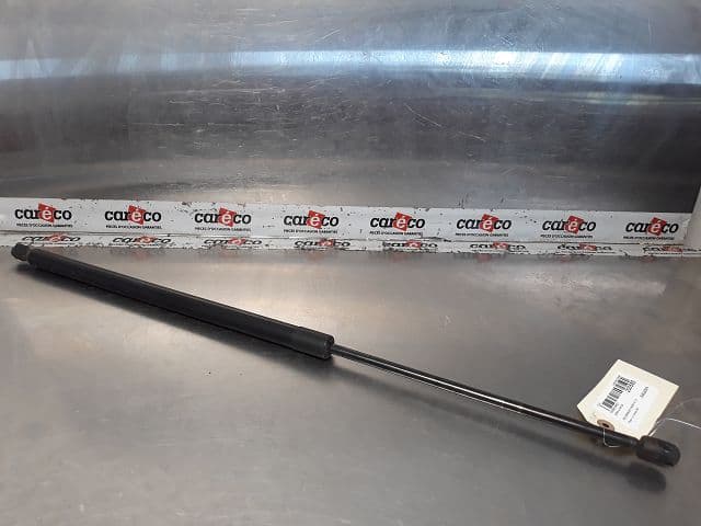 Image sélectionnée