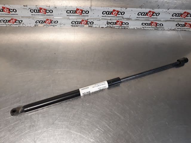 Image sélectionnée