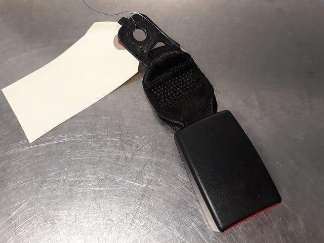 Image sélectionnée