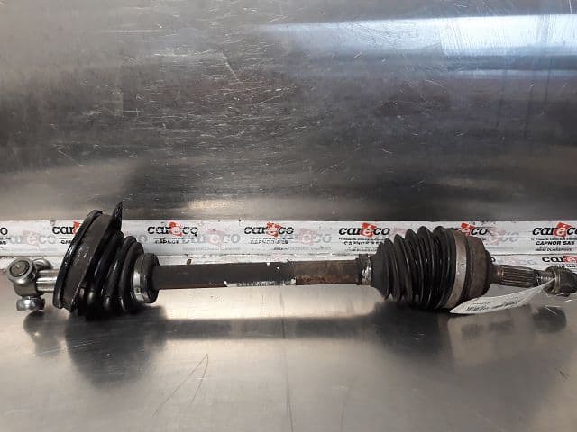 Image sélectionnée