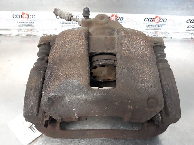 Image sélectionnée