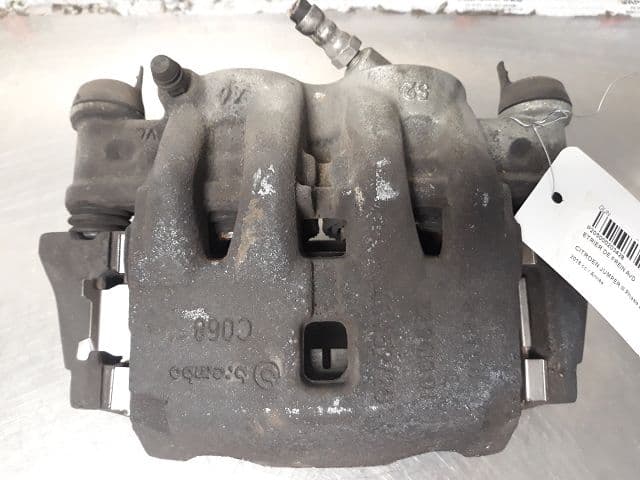 Image sélectionnée