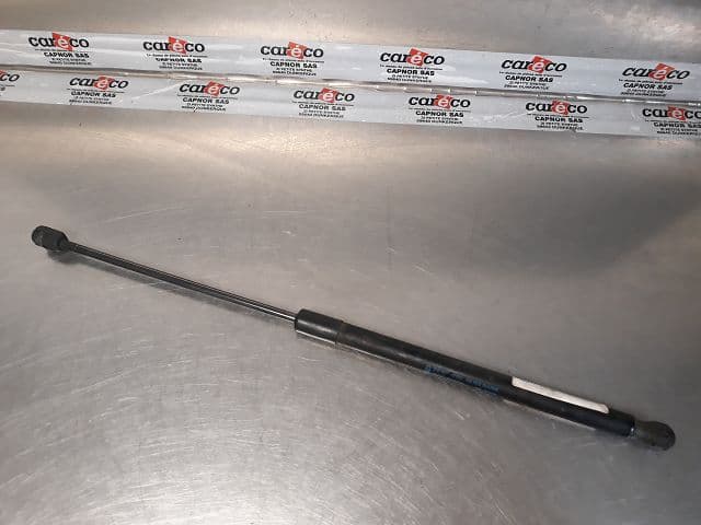 Image sélectionnée