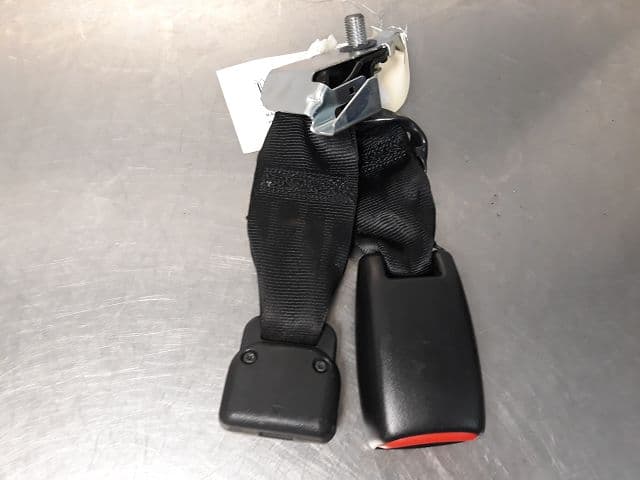 Image sélectionnée