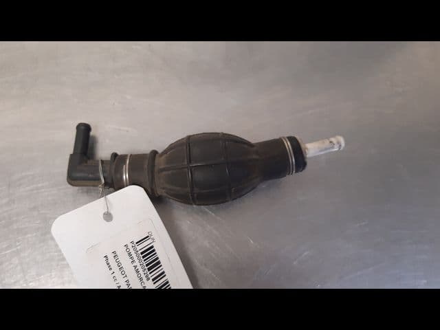 Image sélectionnée