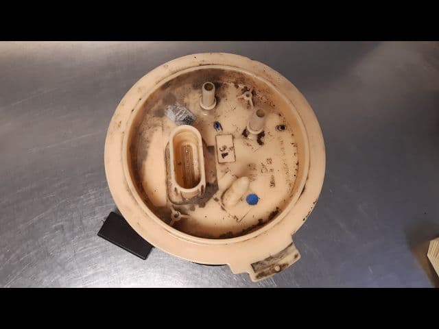 Image sélectionnée