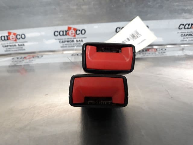 Image sélectionnée