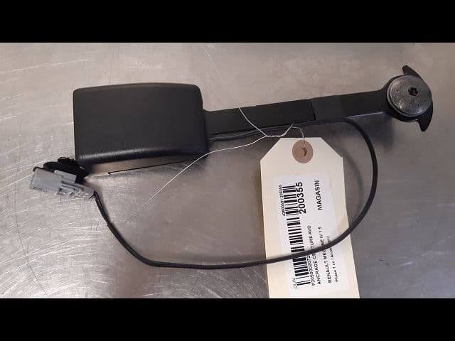 Image sélectionnée