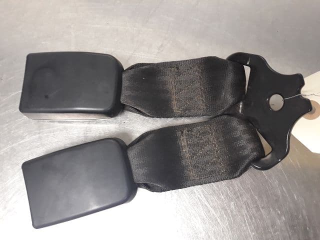 Image sélectionnée