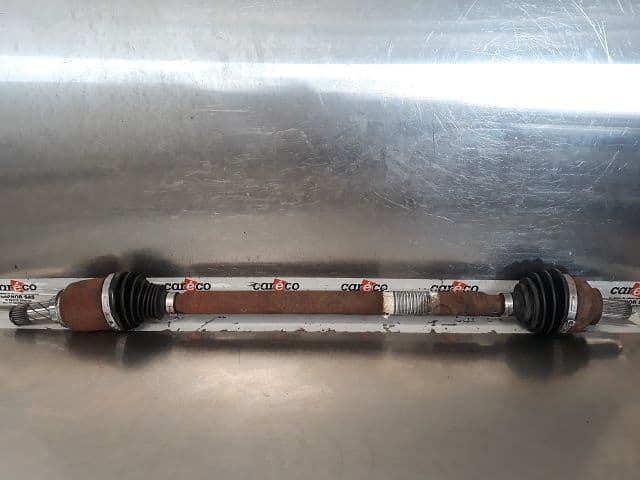 Image sélectionnée